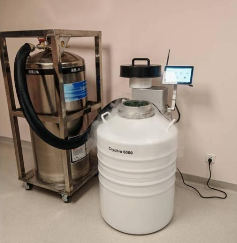 小型氣相液氮罐